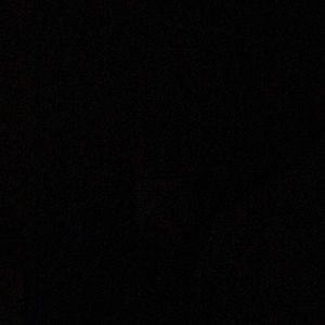 Meet your Posher, Rashaun